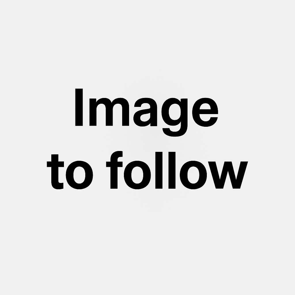 Heli 02.01.2207 24V Relay Starter