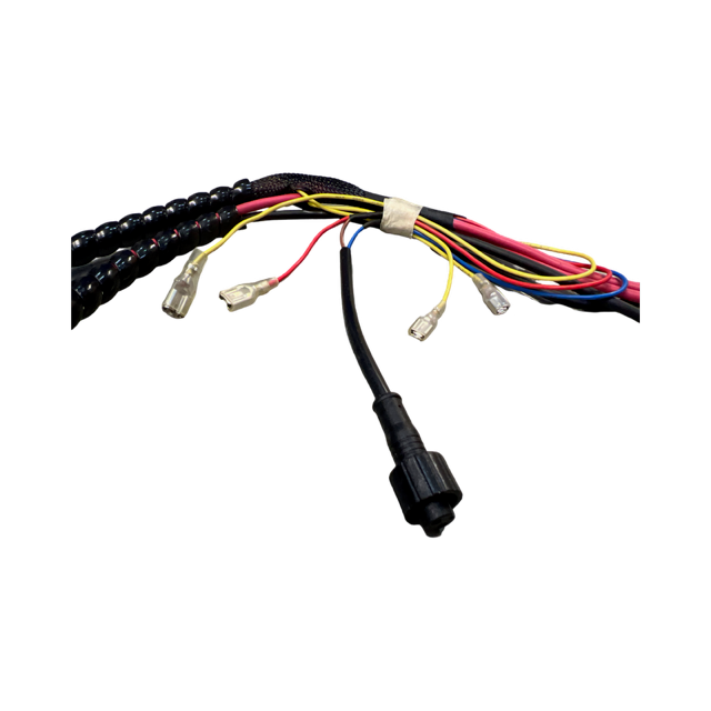 Ningbo Staxx Truck Body Cable Harness 10302044