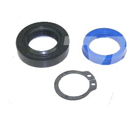 Seal Kit Pump Piston BT Toyota 243926