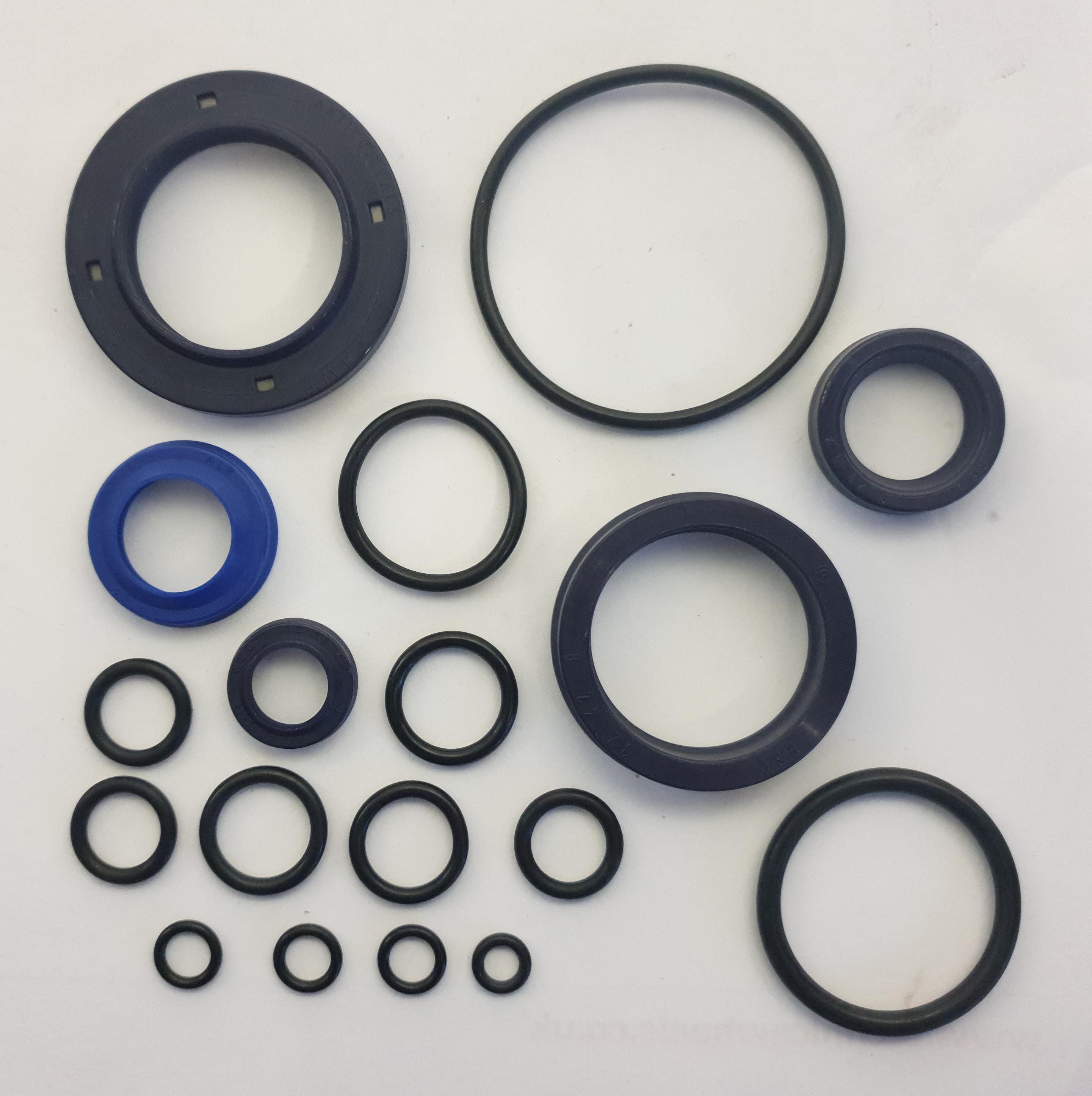 Jungheinrich AM22 Hydraulic Unit Seal Kit 51109599